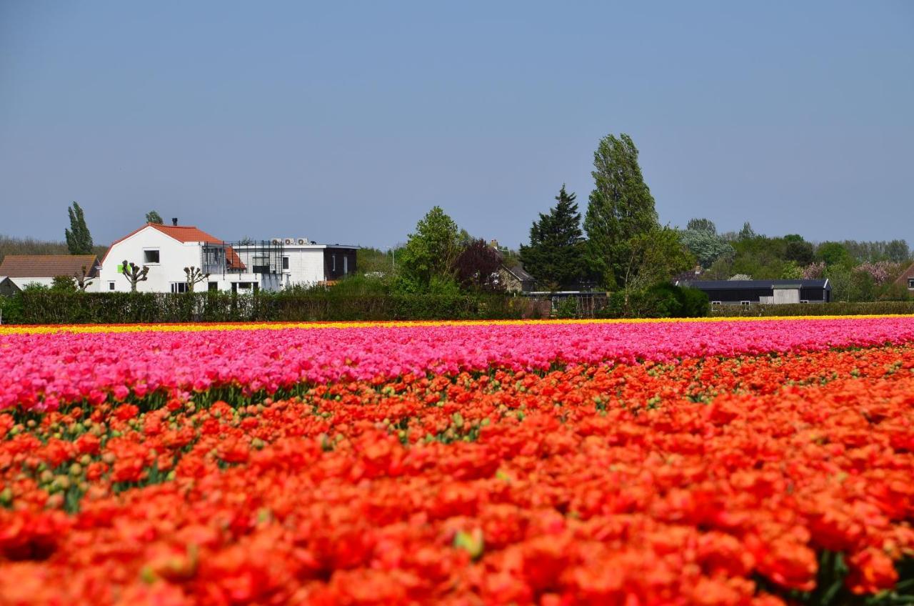 Bed and Breakfast Wellness Bed&Breakfast Pergamo Voorhout Exterior foto